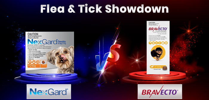 NexGard vs. Bravecto – Flea and Tick Treatment for Dogs