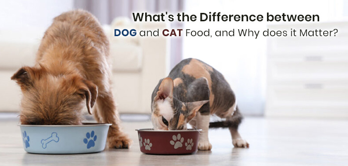 Nutritional Differences between Dog and Cat Food