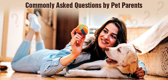 Frequently Asked Questions by Pet Parents